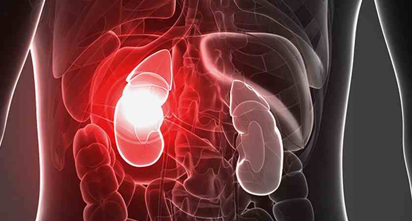 Renal Impairment: