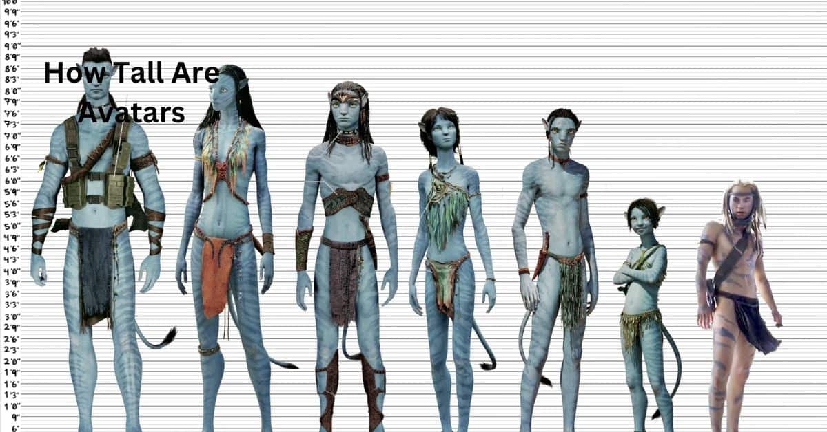 how tall are avatars
