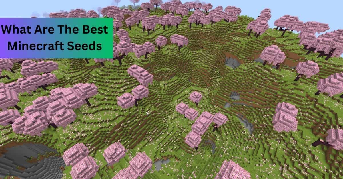 what are the best minecraft seeds